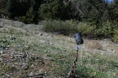 DSC_6509 (Large).JPG